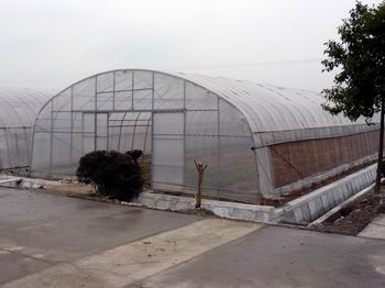 農(nóng)業(yè)大棚骨架大棚圖片
