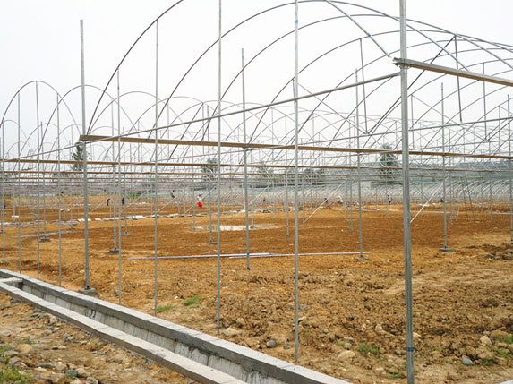 農(nóng)用連棟溫室大棚