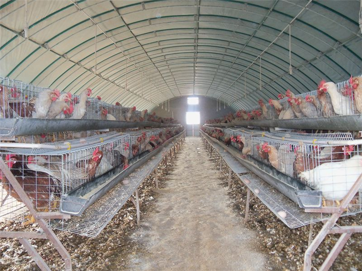 養(yǎng)殖大棚骨架圖片