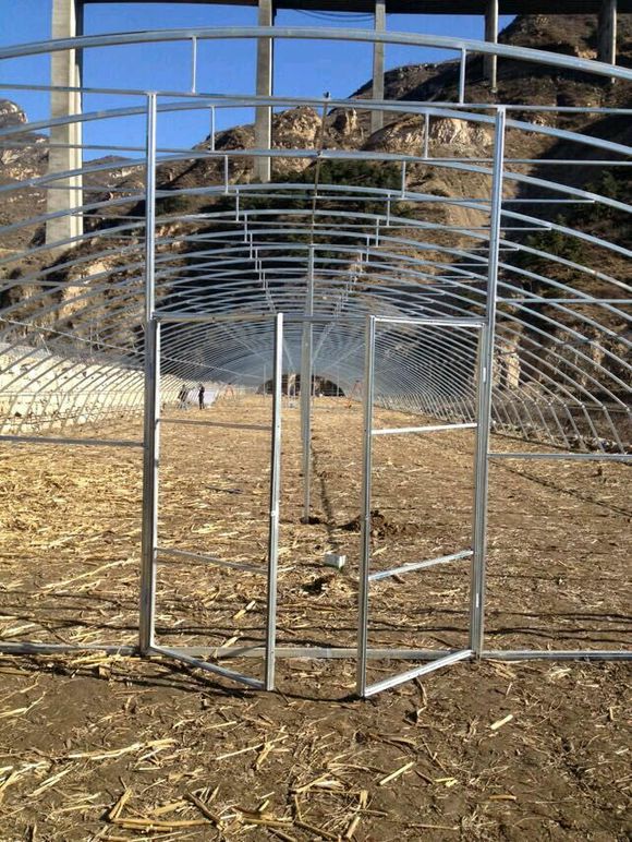 大棚細(xì)節(jié)圖片