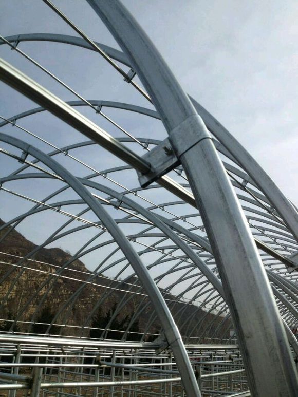 大棚細(xì)節(jié)圖片